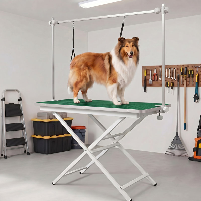Table de toilettage pour chien ApexDesk ProPaw Series 46 po x 24 po, structure en acier robuste pliable, hauteur réglable (28,75 po / 33,82 po), bras de toilettage réglable en hauteur, plateau imperméable antidérapant, capacité de 260 lb