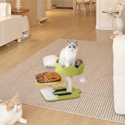 Maison pour chat Elexas