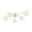 Jamir Glass Semi Flush Mount