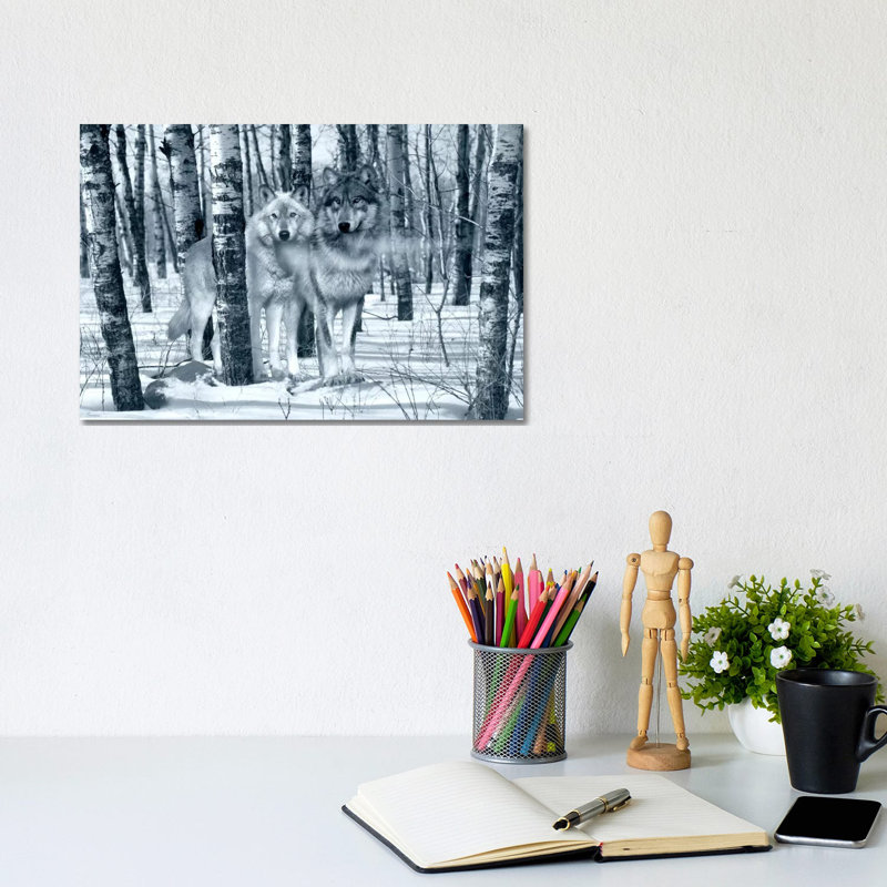 Snow Shadows Silvertones by Gordon Semmens - Wrapped Canvas Print, 20.32 cm H x 30.48 cm W