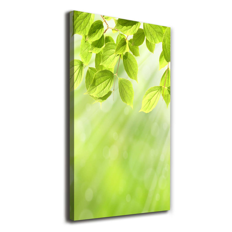 Green Leaves - Wrapped Canvas