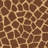 African Plains Natural Giraffe-593945944-593945947