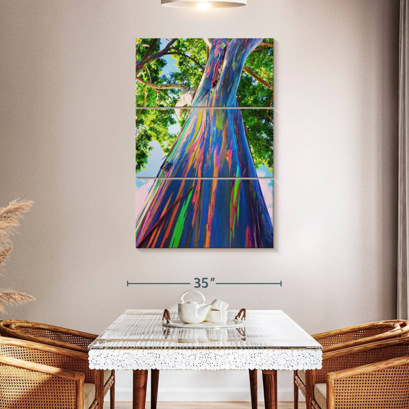 Eucalyptus hawaïen Harnek, H 50 po x l 32 po