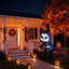 Halloween Decorative Accent