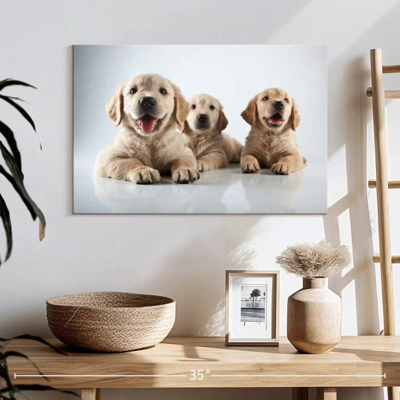 Brampt Golden Retriever de Brampt, H 34 po x l 51 po