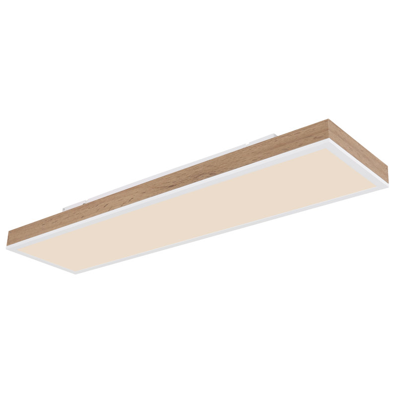Chaquille Plastic LED Flush Mount