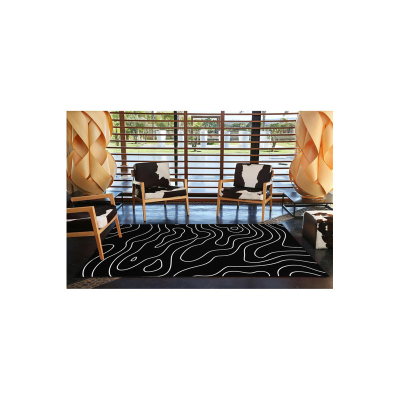 Tapis noir lavable à motif rayé à motif tissé noir, Tapis de couloir 4 pi 11 po x 9 pi 10 po inclus