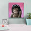 «Bob Cat» par Lucia Heffernan sur-517725210