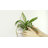 Trigg Planter Wall Decor-35616063