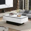 Dunaville Frame Coffee Table with Storage-856067653-856095572