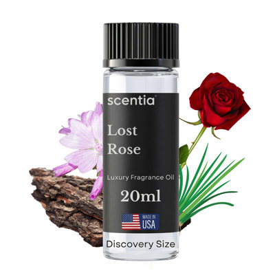 Scentia Resort Diffuser Oil Inspired By Fairmont Resort Scent - 20 Ml 0.67 Fl Oz - Fragrance Oil Blend Rose, Oud Wood & Clove Notes For Aromatherapy Diffusers And Humidifiers - Lost Rose