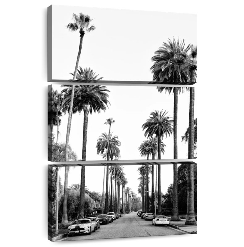 Masam Black California - Los Angeles Palm Alley, H 74 po x l 48 po