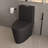One-Piece 1.1/1.6 Gpf Dual Flush Elongated Toilet In Seat Included-102993150