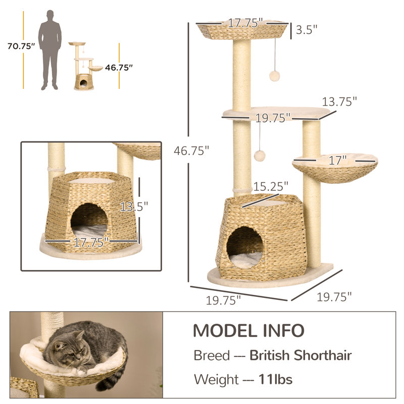 Versatile Cat Activity Center With Plush Comforts And Play Options