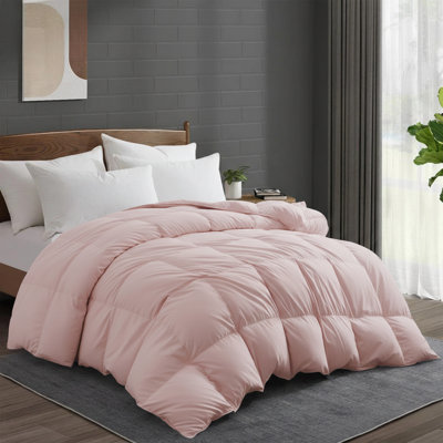 Insertion de couette en duvet d'oie et plumes 600