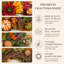 Décoration murale de 24 po avec couronne d'automne pour porte d'entrée avec tournesols, gousses de lotus et jets de baies