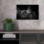 Attentive Dog Gaze Contemporary Dog Wall Art Print 1 Piece Wrapped Canvas Wall Art-279868466