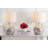 Tazewell Shell Table Lamp