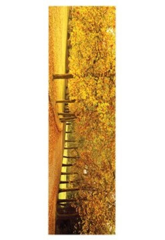 Impression de feuilles d'automne (12 X 36)