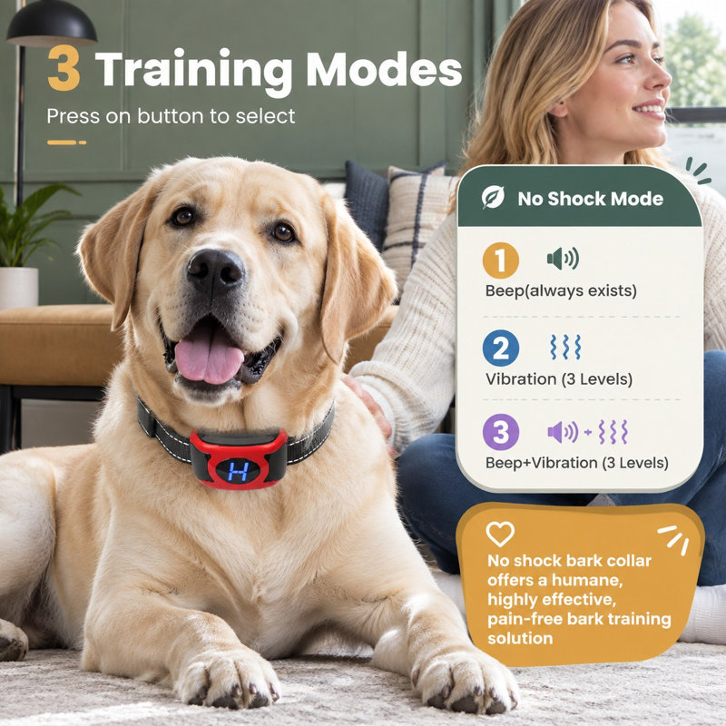 In this 2-pack, medium and large dogs can be trained using safe, humane, no-shock beep-and-vibration collars with 3 adjustable sensitivity levels and a 100% IPX7 waterproof rating.