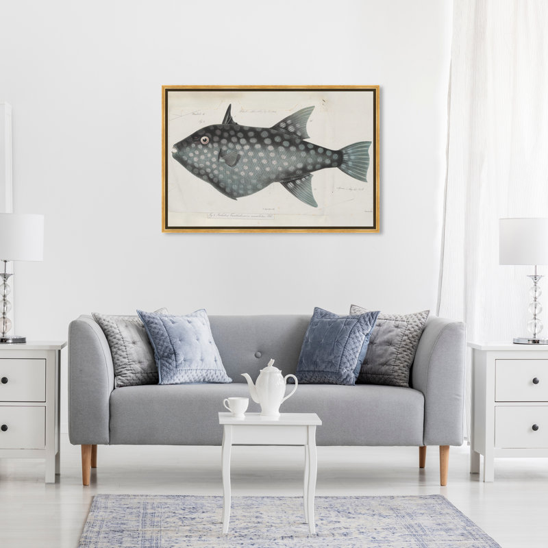 Triggerfish - peinture sur toile, Cadre doré, H 20 po x l 30 po