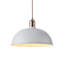 Luminaire suspendu blanc à 1 lumière Deedee