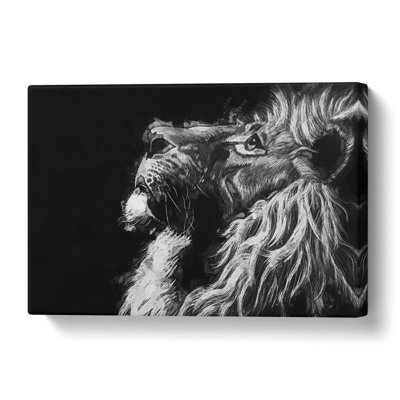 Majestic Lion Illustration - Wrapped Canvas