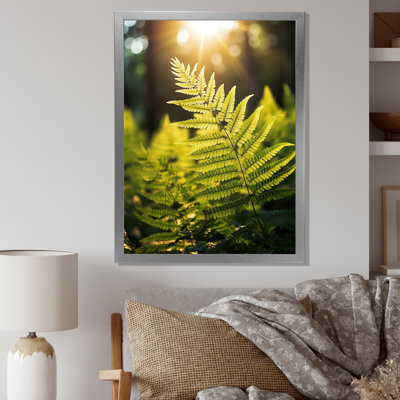 «Wonderland Ferns In Green World», reproduction sur toile