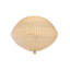 Chupa Floor Lamp