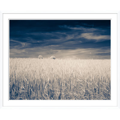 «Fall Wheat Field» - Photographie encadrée sur papier