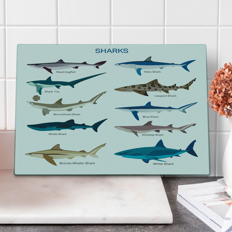 Multicolore à motif de requins de grande taille, Ambesonne