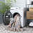 Arizona 326 Performance Machine Washable Oriental Rug-7444036
