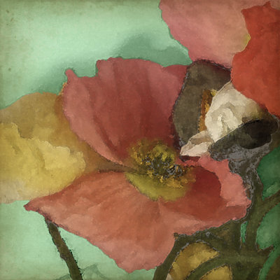 Aquatic Poppies I by Jennifer Goldberger - Wrapped Canvas Painting
