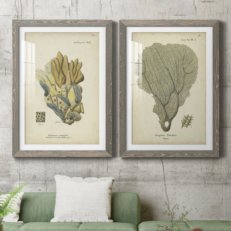 Imprimé encadré écru - Corail II, H 20 po x l 17 po x P 1 po, Cadre en papier gris, Blanc