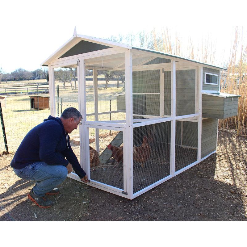 Big Green Chicken Coop