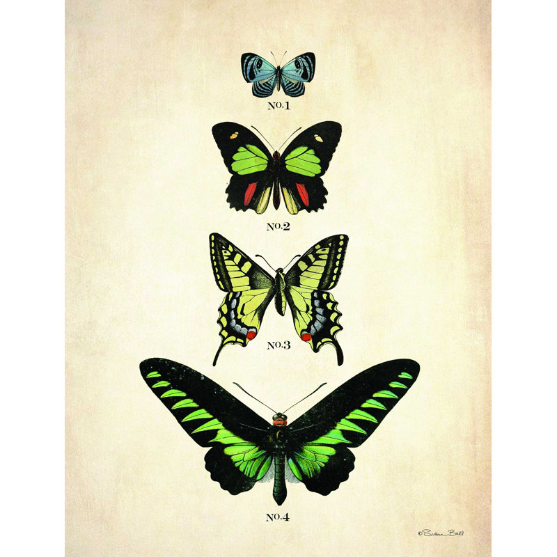 " Butterflies 1 ", 16" H x 12" W
