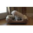 Pet Life "Dream Smart" Electronic Heating and Cooling Smart Pet Bed-48542320-48542324