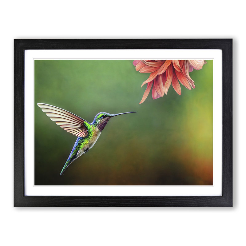 Floral Hummingbird Vol.4 - Single Picture Frame Painting, 25cm H x 34cm W x 2cm D, Black