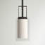 Luminaire suspendu cylindrique à 1 lumière Jaylisse