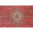 Floral  Traditional Area Rug 7x10