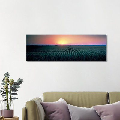 Corn Field At Sunrise Sacramento Co CA USA - Wrapped Canvas Panoramic Print