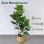 Arbre artificiel, arbre banian à 3 tiges de violon (H 100 cm) - Faux banian pré-assemblé avec pot à fleurs tissé, feuilles réalistes-1653197783
