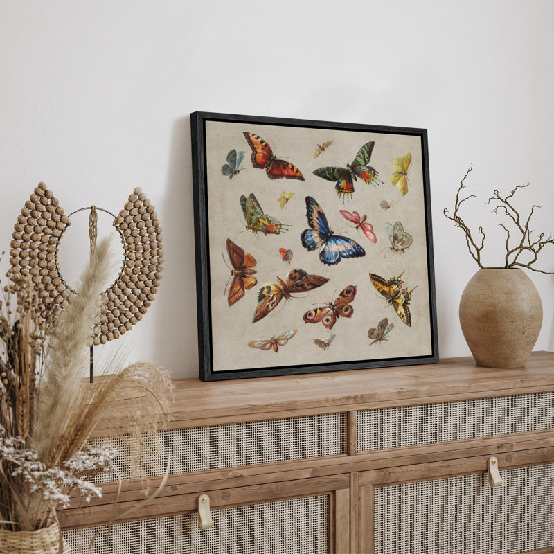 «Vintage Vibrant Butterfly Wilderness Illustration Rustic French Country», Noir, H 24 po x l 24 po