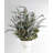 Lavender Arrangement in Pot