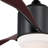 Evan 52'' Ceiling Fan with LED Lights