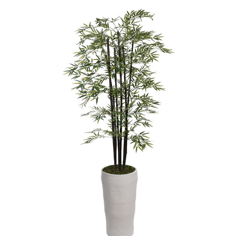 Panama 101'' Faux Bamboo Tree in Fiberstone Planter