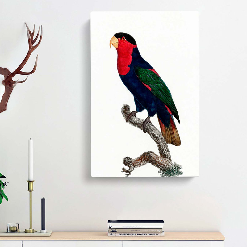 Black-Capped Lory by F. Levaillant - Wrapped Canvas, 76cm H x 50cm W x 3cm D