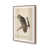Powder Rose Framed is unavailable