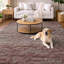 Tapis à poils longs lavable à la machine de qualité supérieure Dream-839997133-839997171