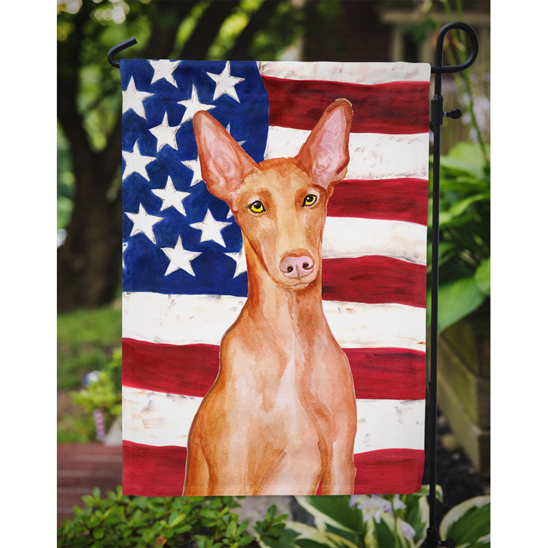 2 côtés en polyester de 2 côtés american drapeau de jardin, Pit-bull